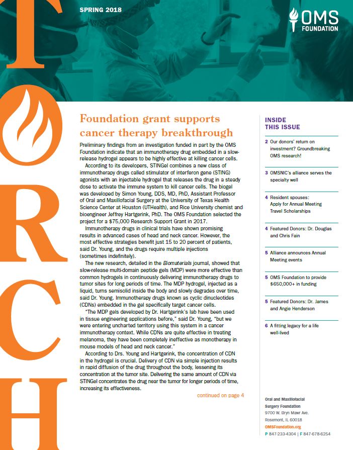 Spring Torch 2019